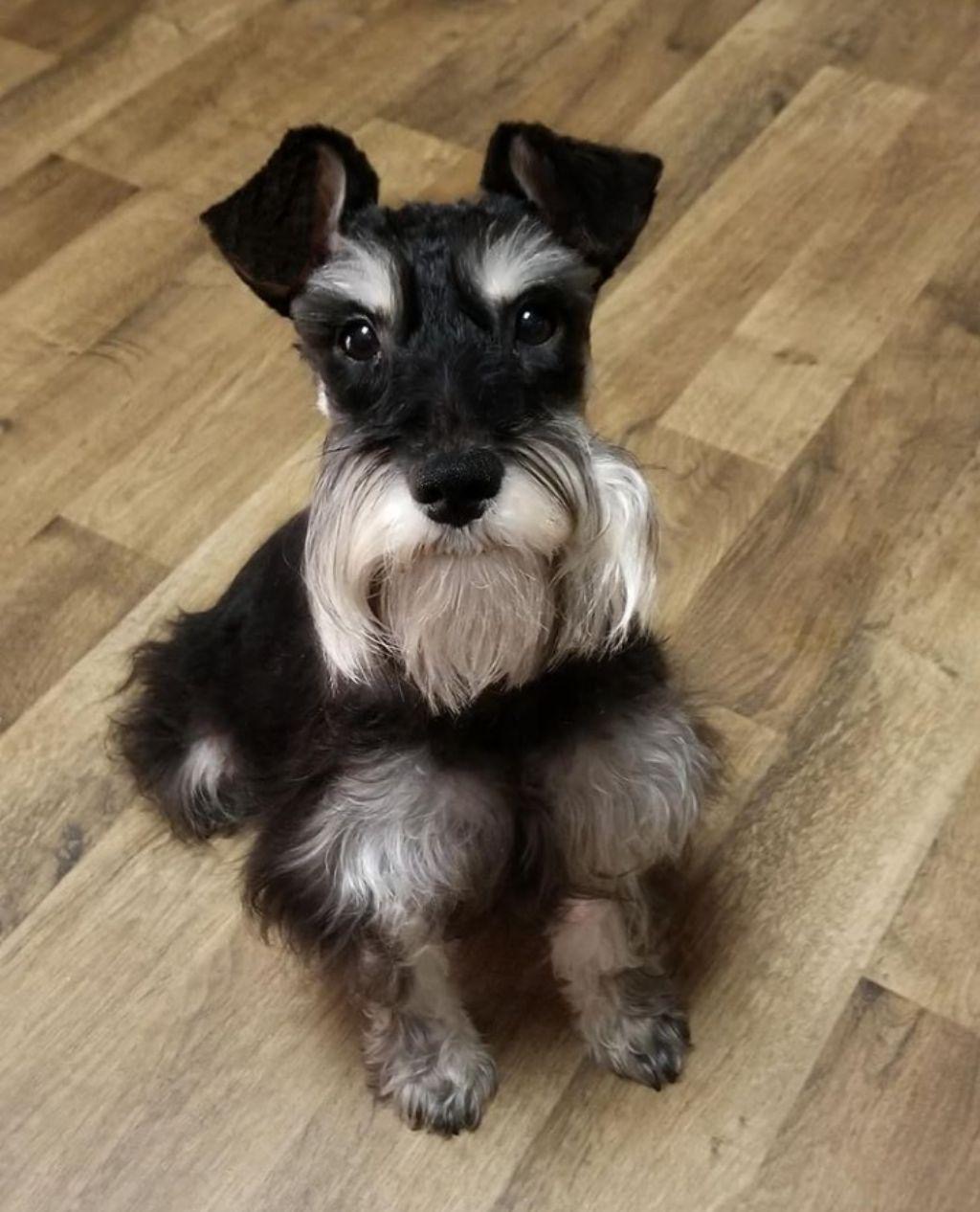 1AD9C109-F9AC-4CFF-8841-1EB1C232637B