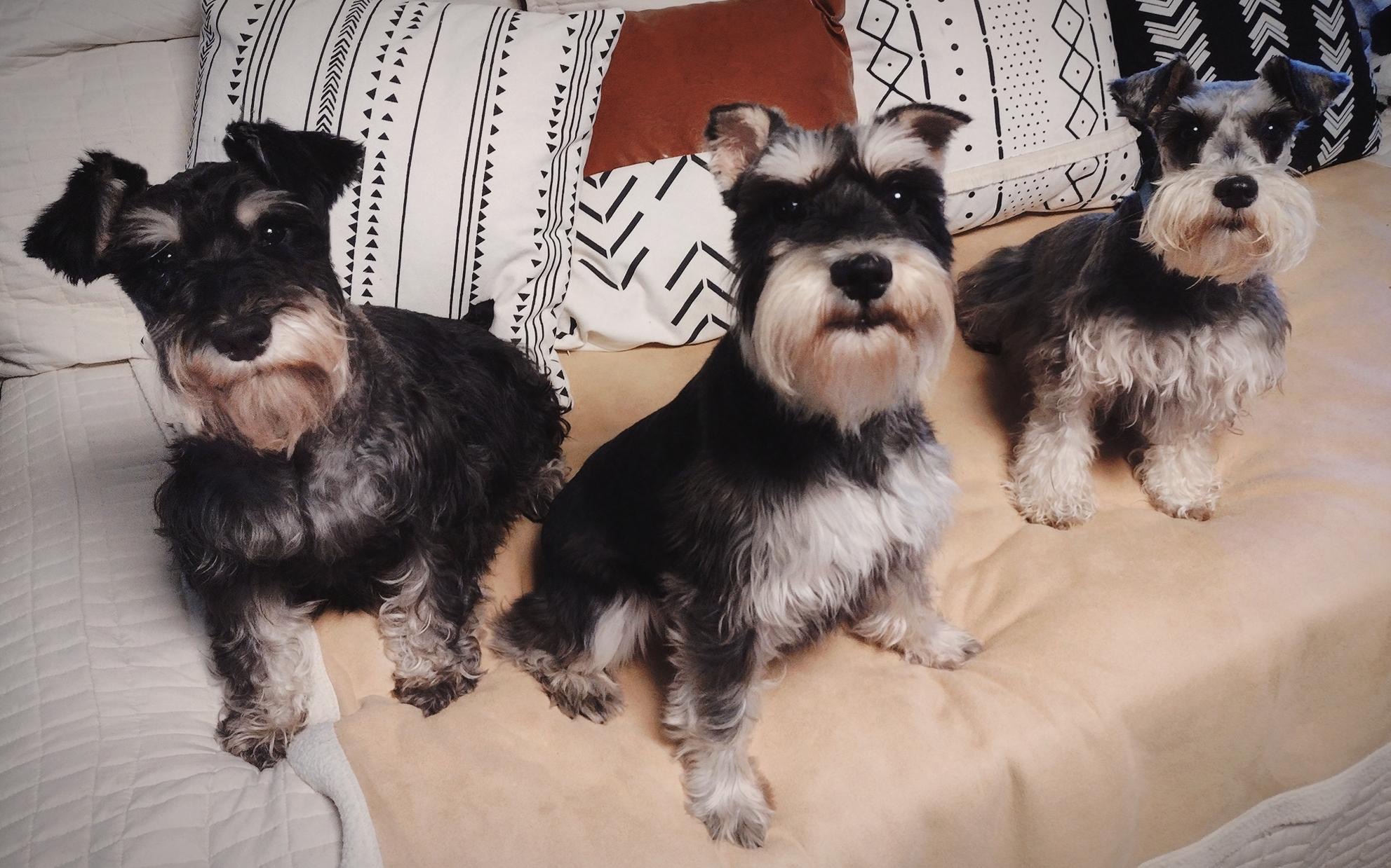 E1D15A80-912E-497E-B1C0-62E333855DD7